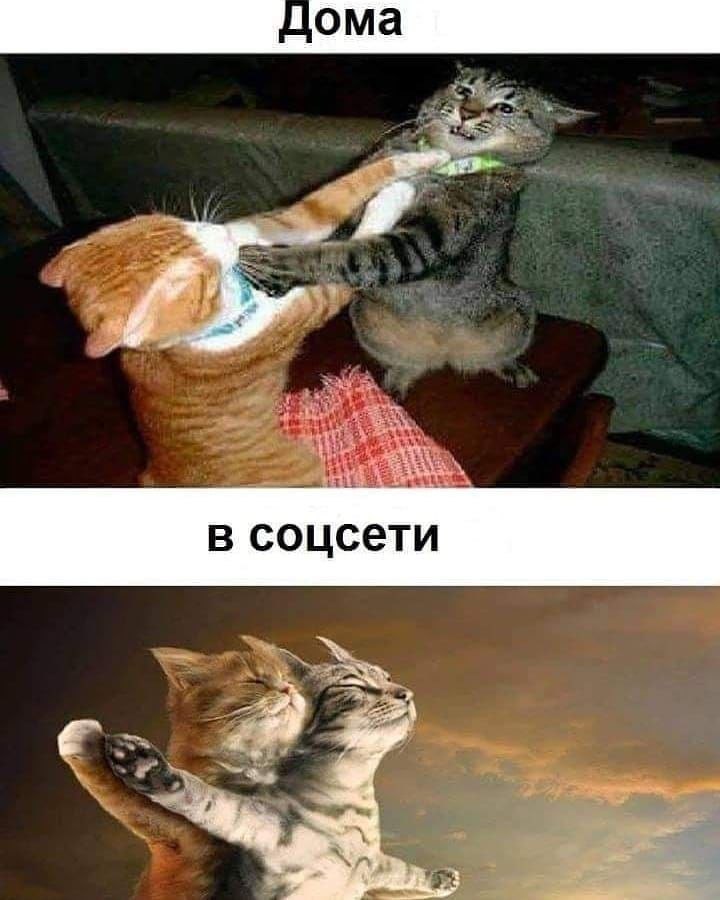  - 28  2021  22:46
