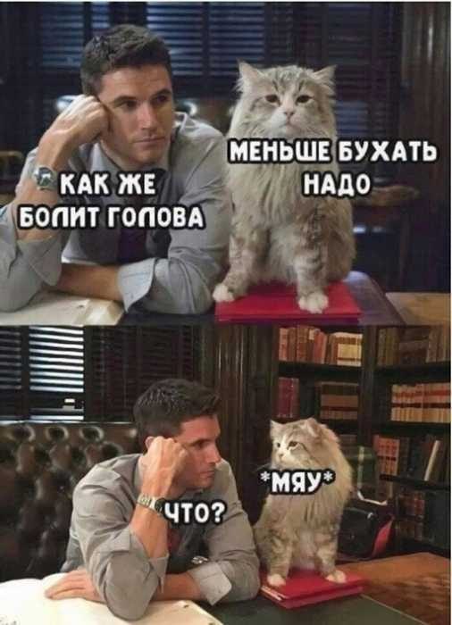   - 12  2021  13:37