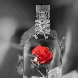 �����, ������, 61 ���