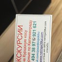 ���� ����������, �����-��������� - ��������� 12 ��� 2021 � ������ ������������