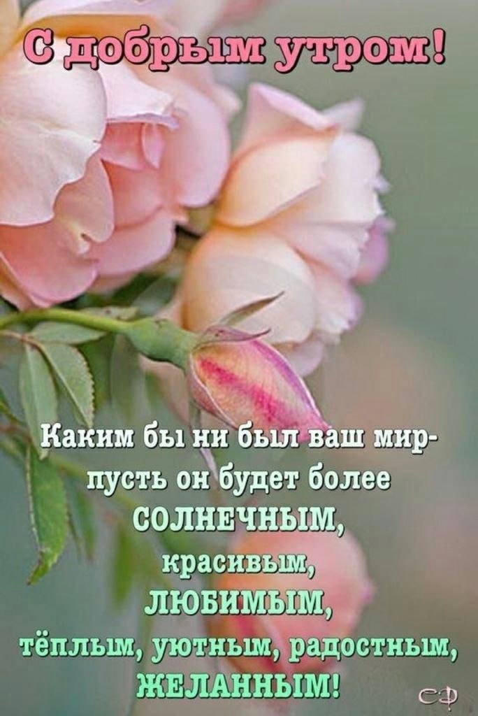   ,    . - 25  2021  20:56 - 3