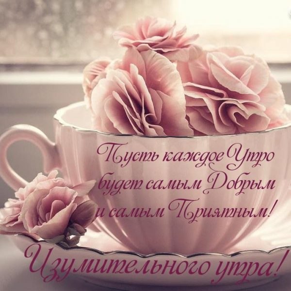 ***Victoria Viktorovna*** - 17  2021  03:54