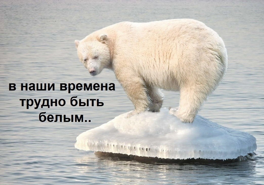  , ,   ... ,    !  - 5