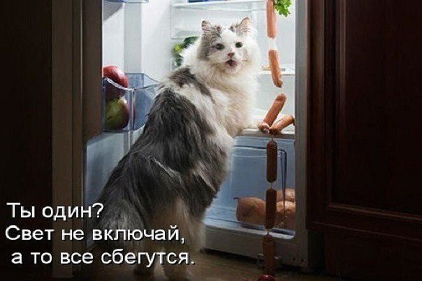    - 6  2021  16:25