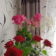 �������, 66 ���, �������