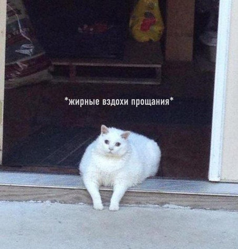        :