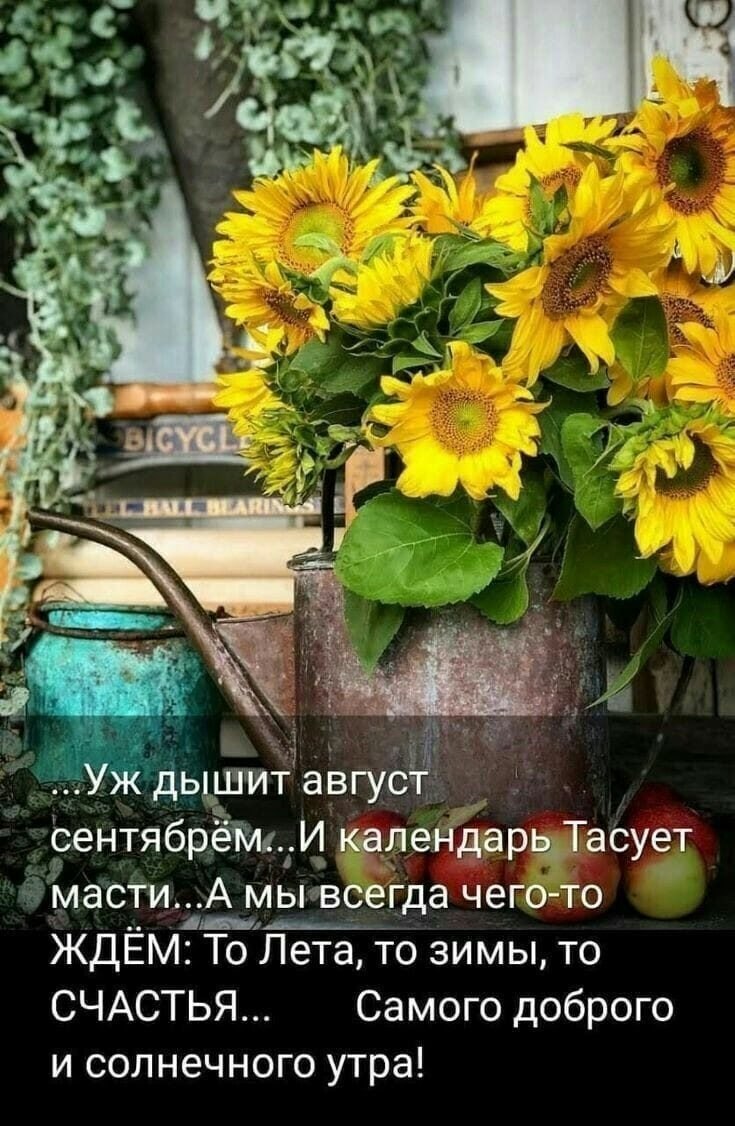https://fotostrana.ru/away?to=/sl/5XC2    ... , ,  , ... , ... - 4