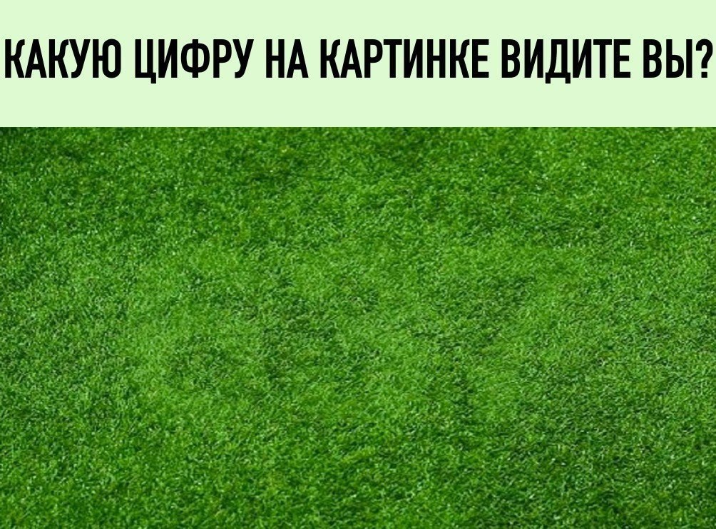 Какую цифру видишь