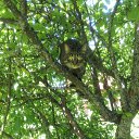 ���� �������, �����-���������, 39 ��� - ��������� 25 ������ 2022 � ������ �������