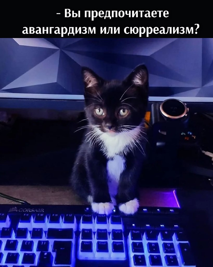       - 2  2021  16:31