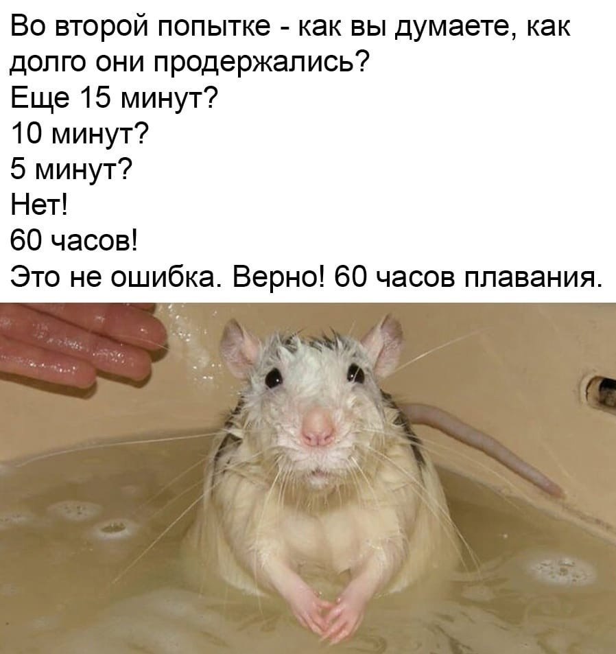Ta o o  uu - 2