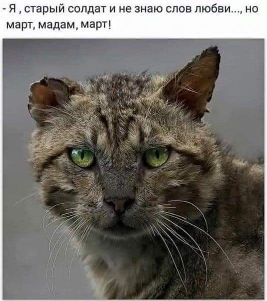  - 28  2021  22:16