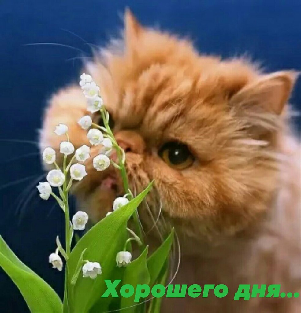   ,    . - 21  2021  14:23 - 3