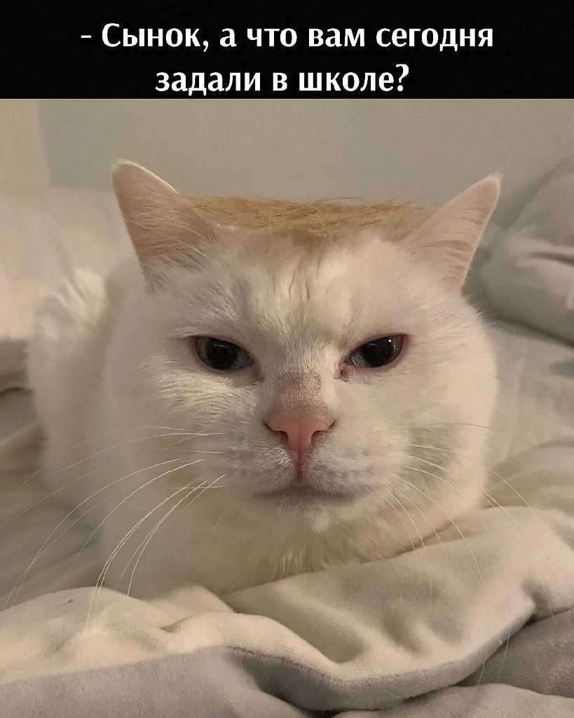       - 18  2021  12:14