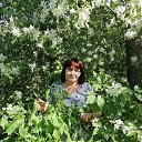 ���� �������, �����-���������, 55 ��� - ��������� 18 ���� 2021 � ������ ���� ����������