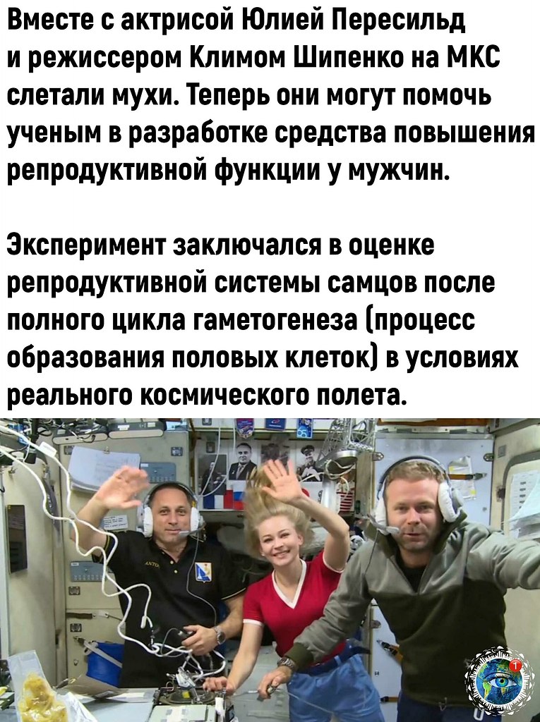  cac . - 2