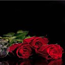  Denis, - -  9  2021    