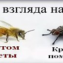 ���� ��������, ����� - ��������� 7 ������� 2021 � ������ ������ ��������