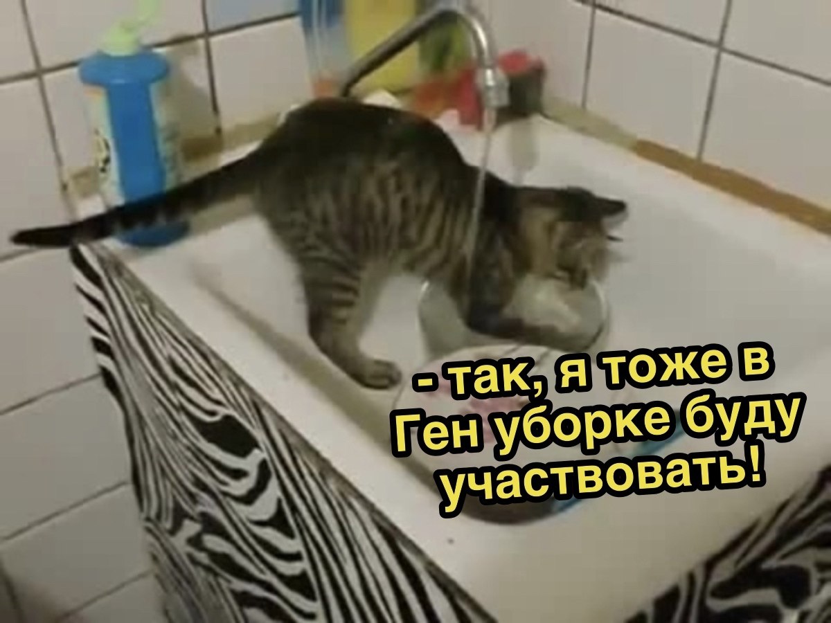   - 18  2021  17:42