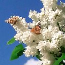 ���� �����, ������-��-����, 64 ���� - ��������� 7 ������� 2021 � ������ ���������� ������