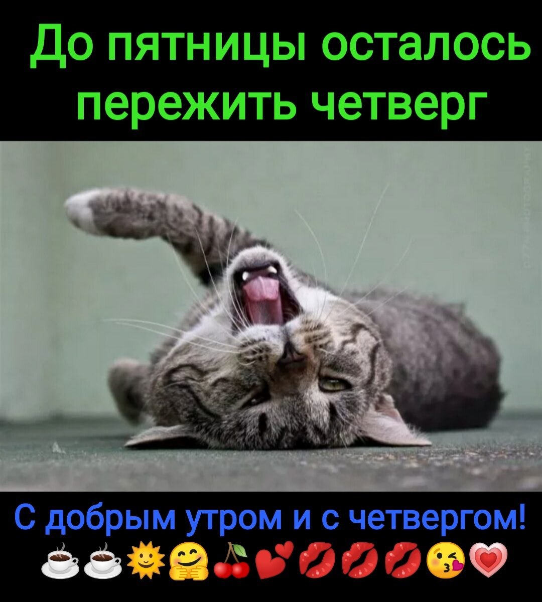 ***Victoria Viktorovna*** - 24  2021  08:26