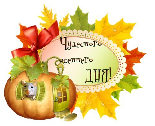   ,    . - 28  2021  14:39 - 4