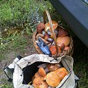 ���� �����, �����-���������, 63 ���� - ��������� 5 ���� 2021 � ������ ������ ��������