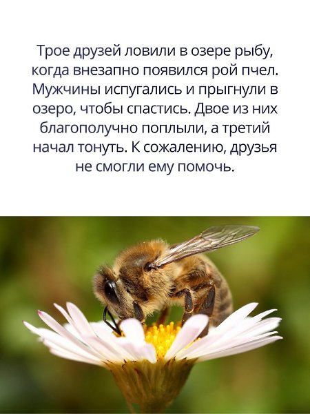   . - 2