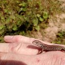 ���� �������, ��������, 50 ��� - ��������� 31 ���� 2021 � ������ ���� ����������