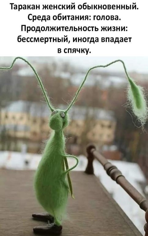  - 15  2021  14:01
