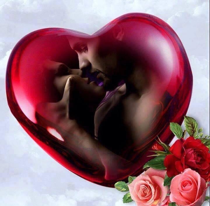  ,  -   ,    ,      ...