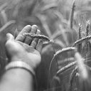 ���� ����, �����, 44 ���� - ��������� 26 ���� 2021