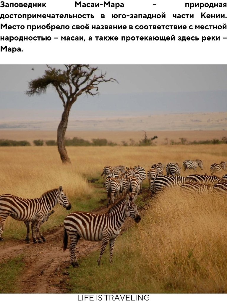   - (Maasai Mara), 