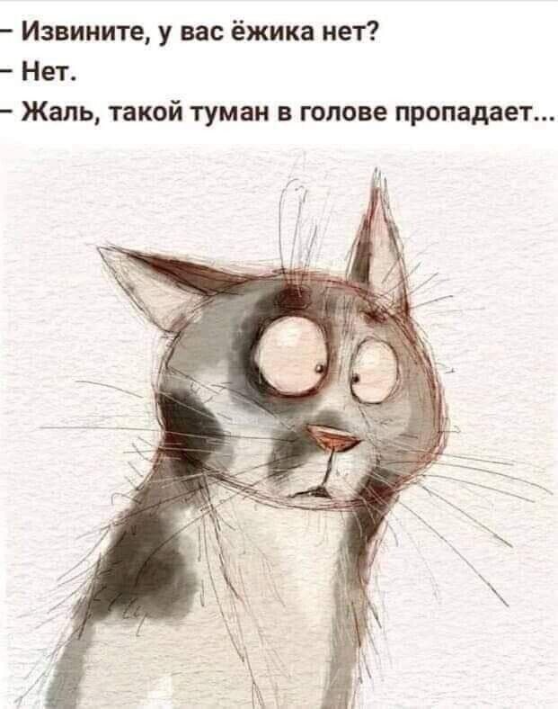   - 25  2022  19:19