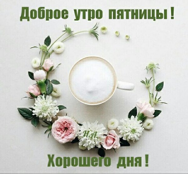   ,    . - 1  2021  23:36 - 4