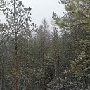  ***L***,   -  31  2021   30.10.2021 .