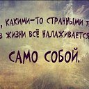 ���� �������, �����-��������� - ��������� 9 �������� 2021 � ������ ������ ��������