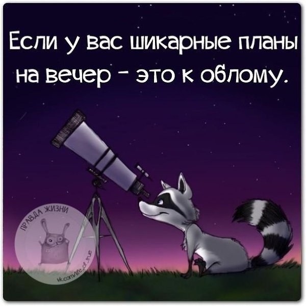 ������ ����� - 9 ������ 2021 � 14:20