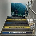  , -, 37  -  12  2021    