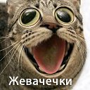 ���� Xi, �������� - ��������� 26 ����� 2021 � ������ ���� ����������
