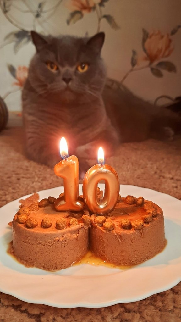     10 !    ))