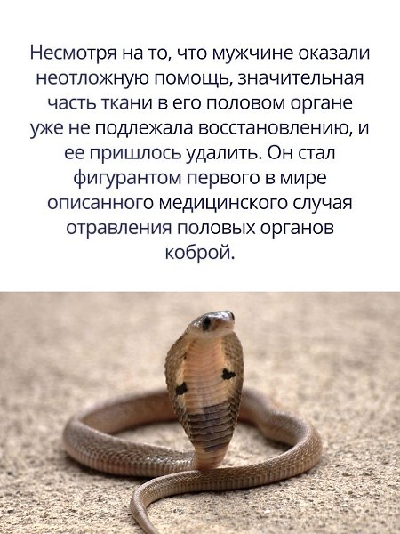 Мертвую ткань, однако, позже восстановили. Полностью восстановился мужчина только через год. - 3