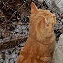 ���� Andrew, ������, 52 ���� - ��������� 5 ������� 2021 � ������ ������
