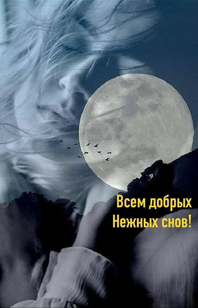   ,    . - 5  2021  22:41 - 3