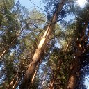 ���� Haver Santa, ���������� ����� - ��������� 28 ���� 2021 � ������ �:)�