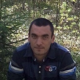 ���������, �������, 40 ���