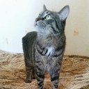 ���� �������, �����-���������, 39 ��� - ��������� 25 ������ 2022 � ������ �������