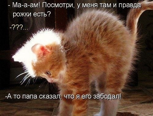    - 24  2021  22:36
