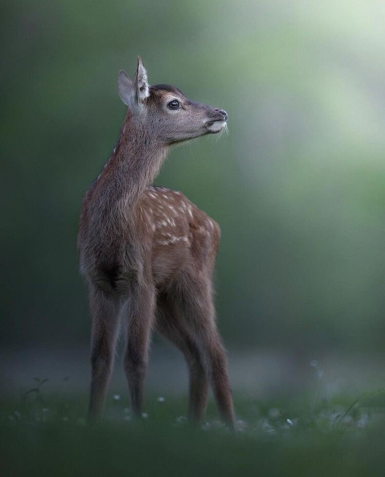  ! - 5  2021  19:56