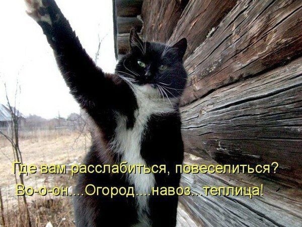    - 2  2022  18:32